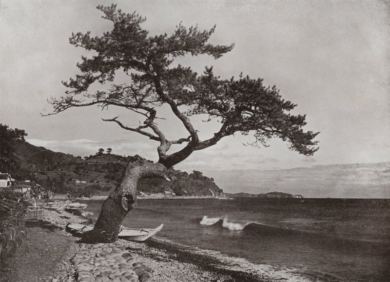 Atami (f/w fotó) alkotó: Herbert Ponting