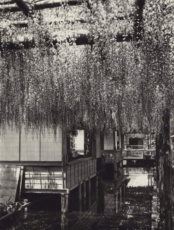Japán az 1920-as években: Tokió, Kameido (f/w fotó) alkotó: Herbert Ponting