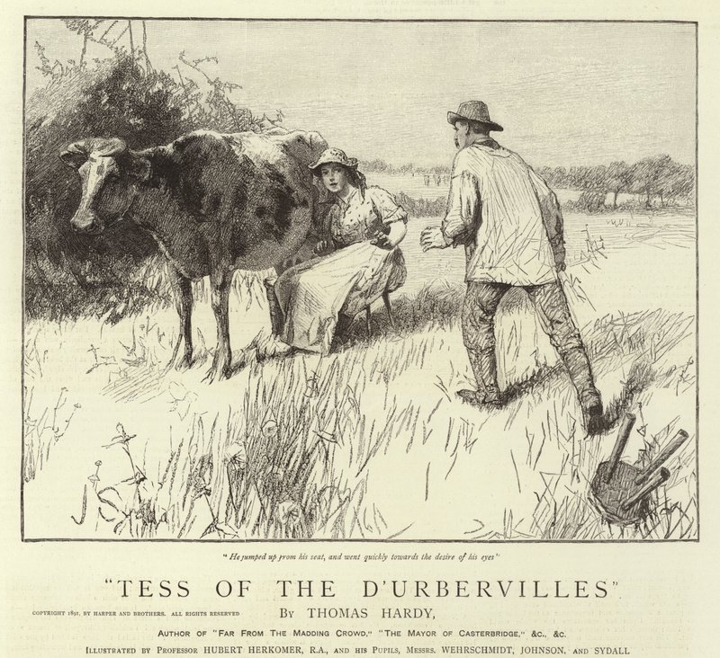 Tess of the D