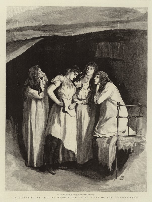 Tess of the D