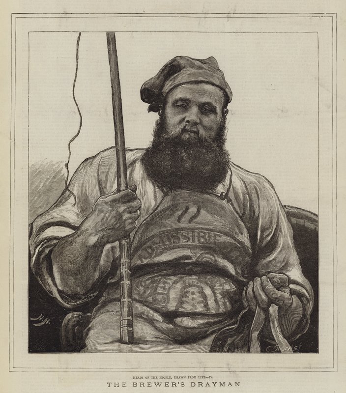 A Brewer