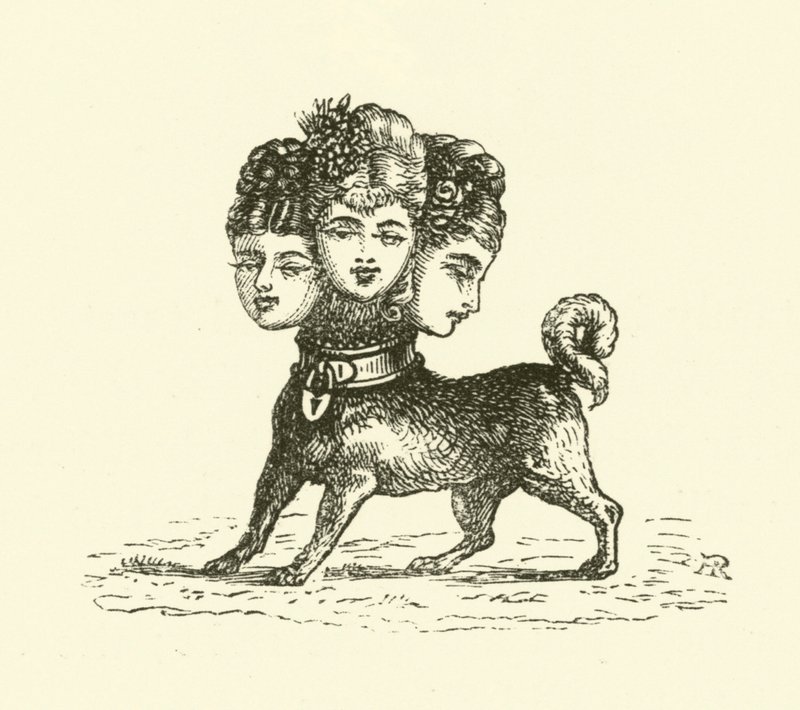 Cerberus nőstény (metszet) alkotó: Hugh Rowley