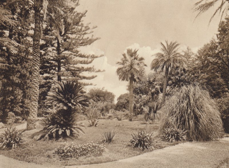 Szicília / Szicília: Villa Tasca, Palermo (fekete-fehér fotó) alkotó: Italian Photographer