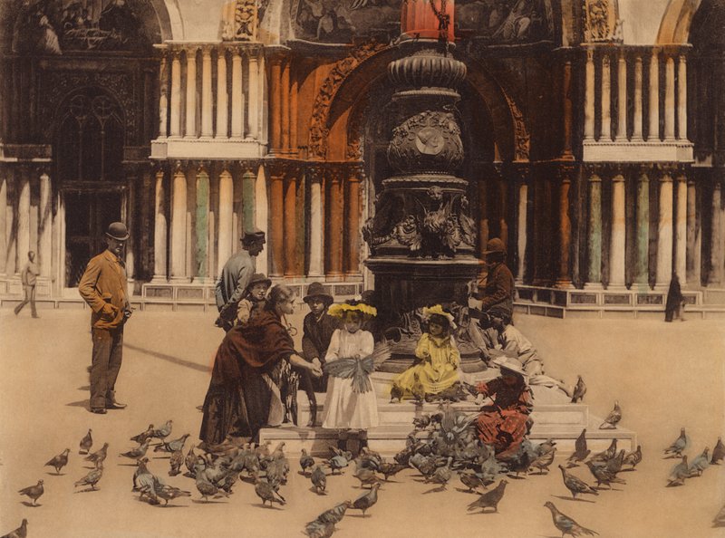 Velence / Velence: Piccioni (színes fénykép) alkotó: Italian Photographer