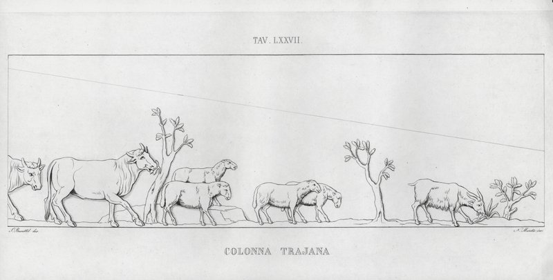 Traianus oszlopa, Traianus oszlopa (metszet) alkotó: Italian School
