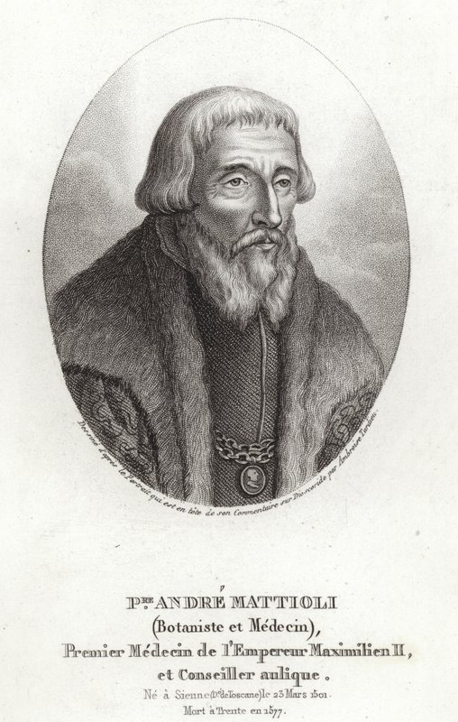 Pietro Andrea Mattioli alkotó: Italian School
