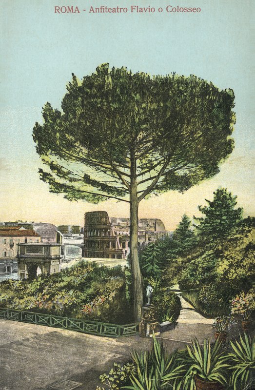 Róma, Olaszország, Amfiteátrum és Colosseum (színes lithó) alkotó: Italian School