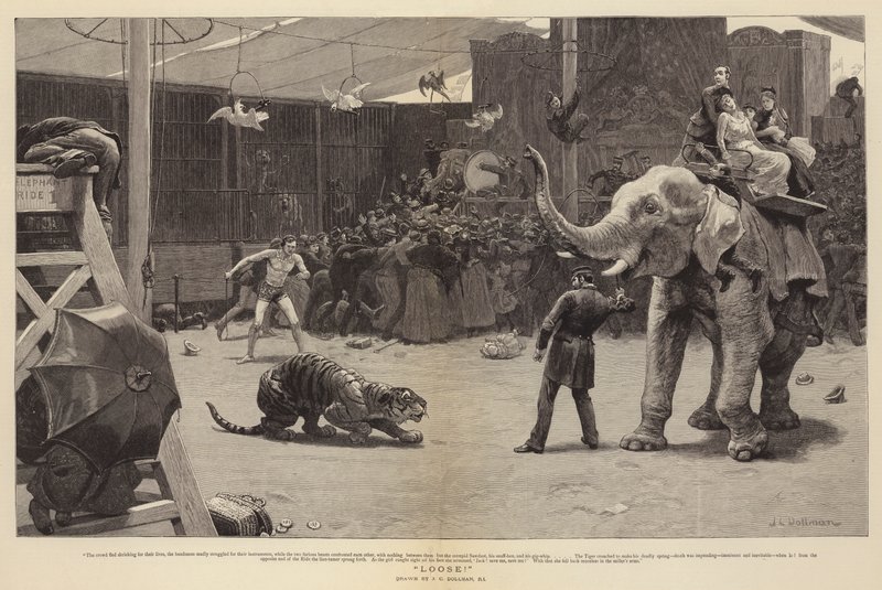 Laza! alkotó: John Charles Dollman