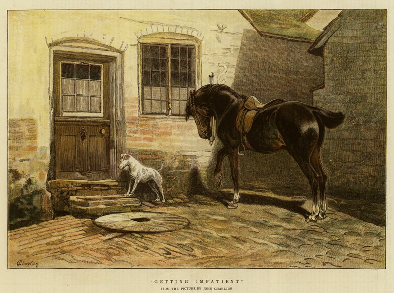 Türelmetlenné válás alkotó: John Charlton