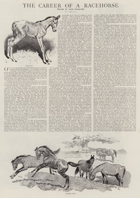 A versenyló karrierje alkotó: John Charlton