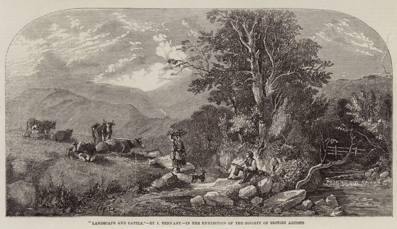 Táj és szarvasmarha alkotó: John F. Tennant