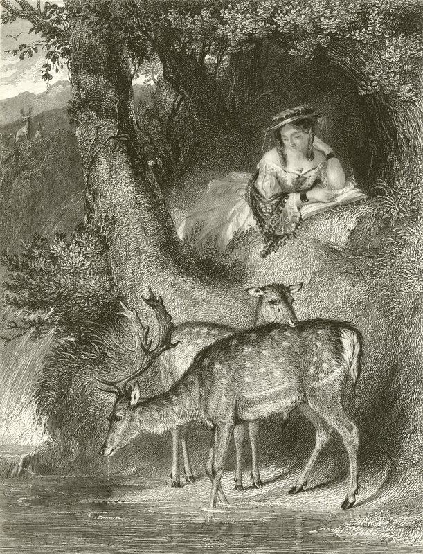 Hegyi magány alkotó: John Corbould