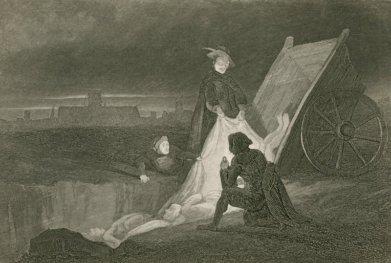 A pestisgödör alkotó: John Franklin