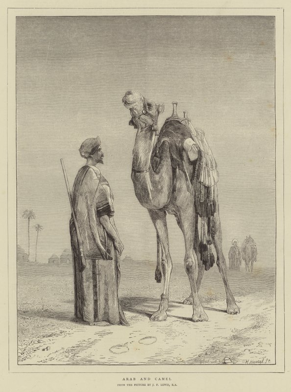 Arab és teve alkotó: John Frederick Lewis