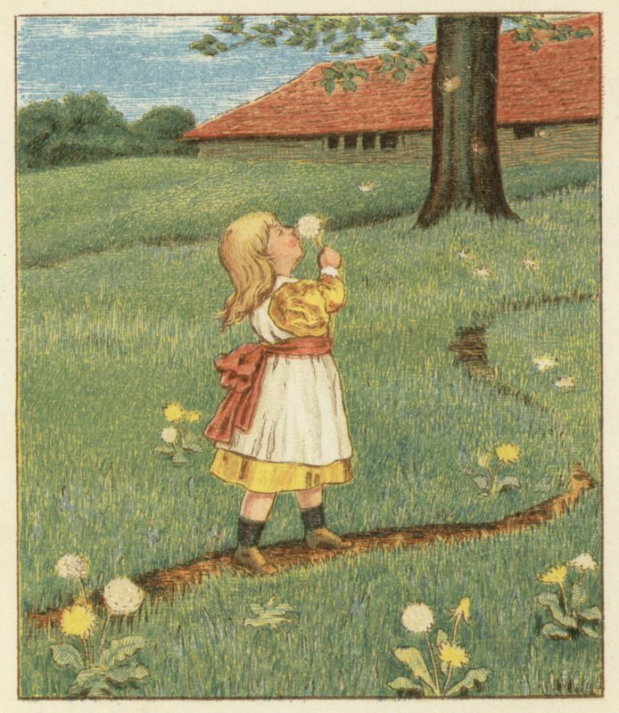 Gyermekláncfű mag (színes litho) alkotó: John George (after) Sowerby
