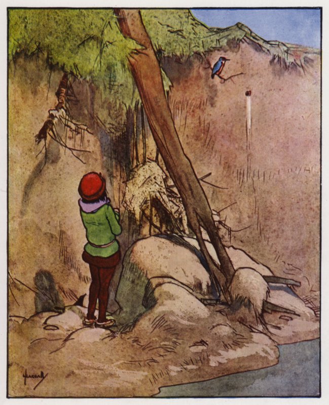 A jégmadár (színes litó) alkotó: John Hassall