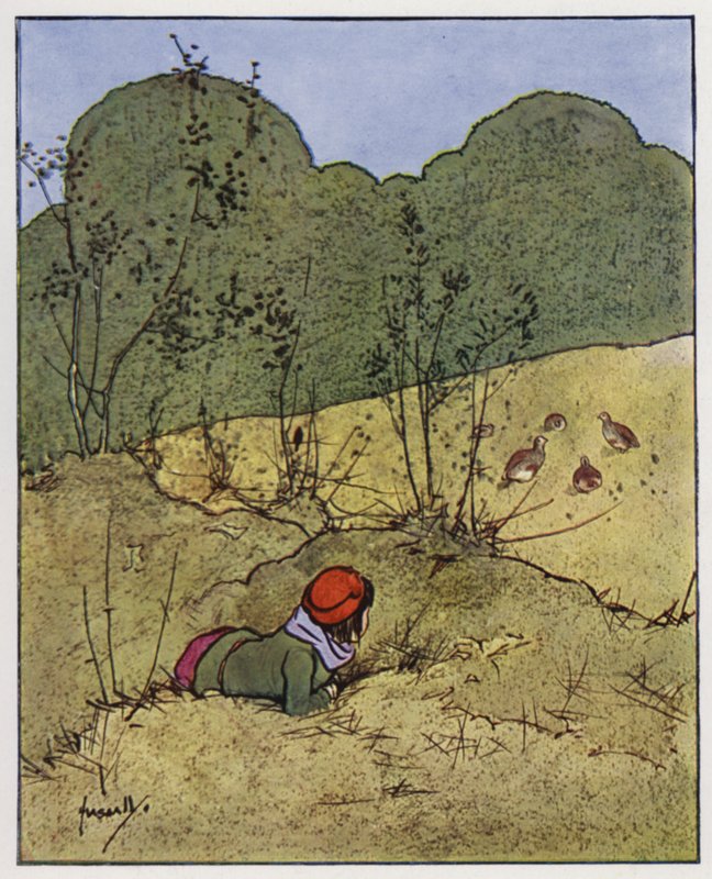 Fogoly (színes litó) alkotó: John Hassall