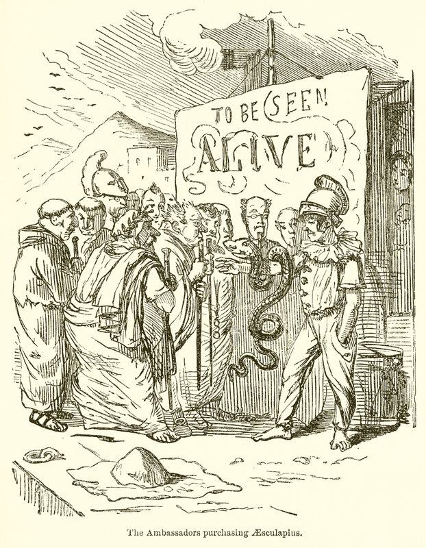 A nagykövetek Aesculapius megvásárlása alkotó: John Leech
