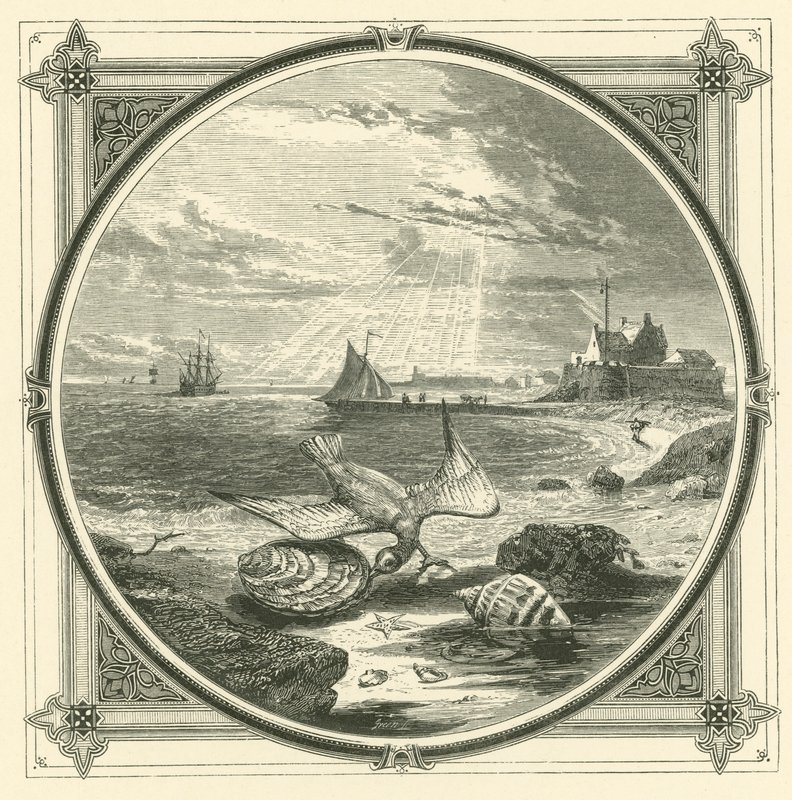 A harapás megharapott (metszet) alkotó: John Leighton