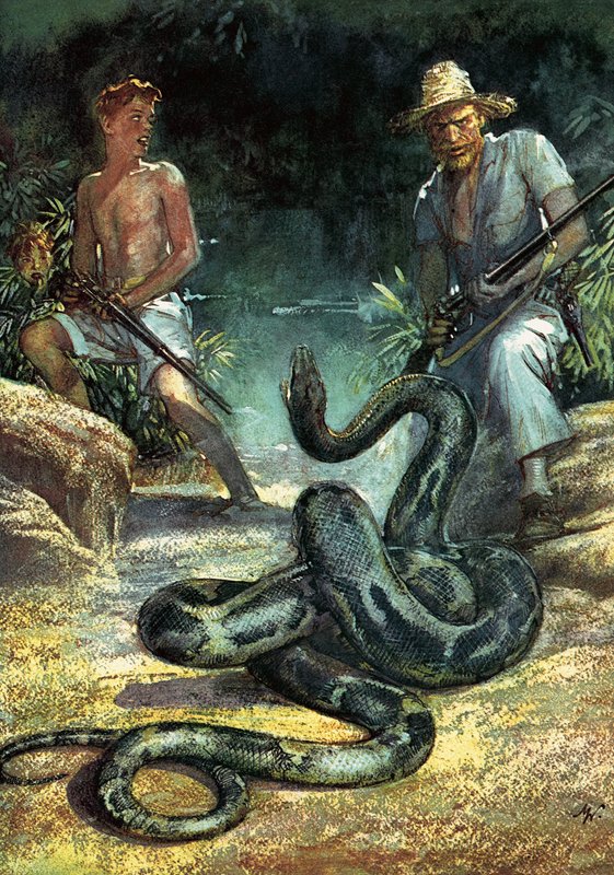 Svájci család Robinson alkotó: John Millar Watt