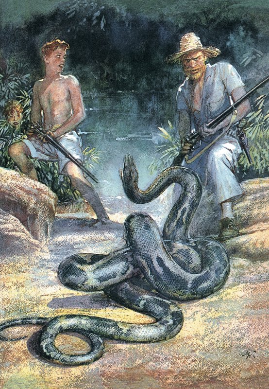 Svájci család Robinson alkotó: John Millar Watt