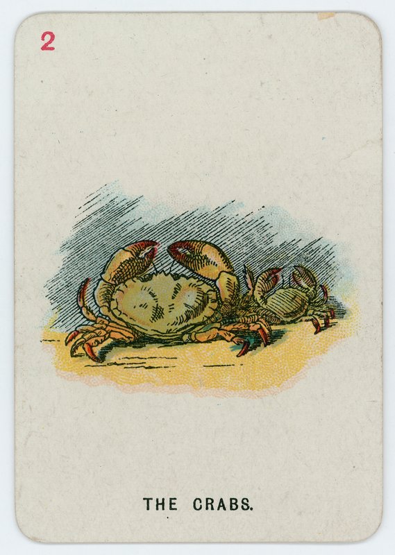 A rákok alkotó: John Tenniel