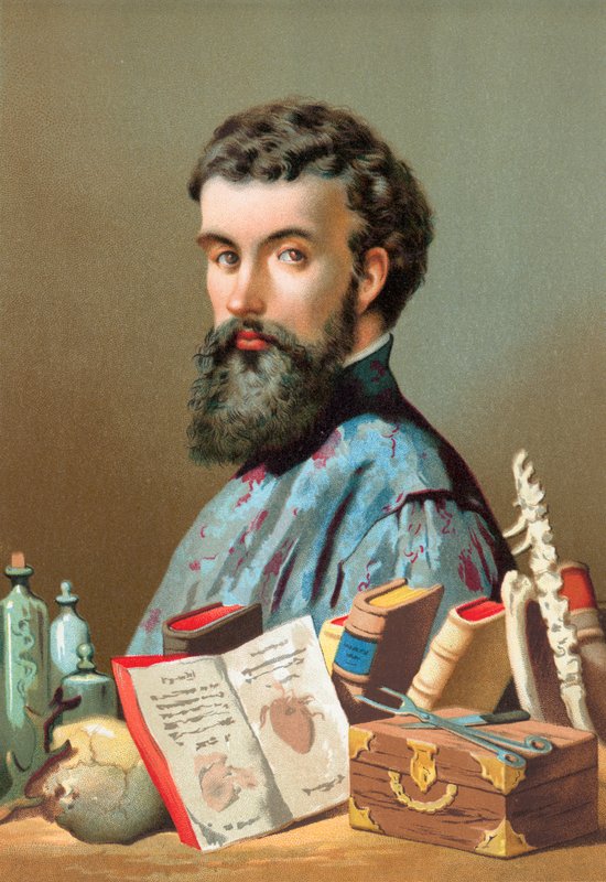 Andreas Vesalius alkotó: Jose Armet Portanell