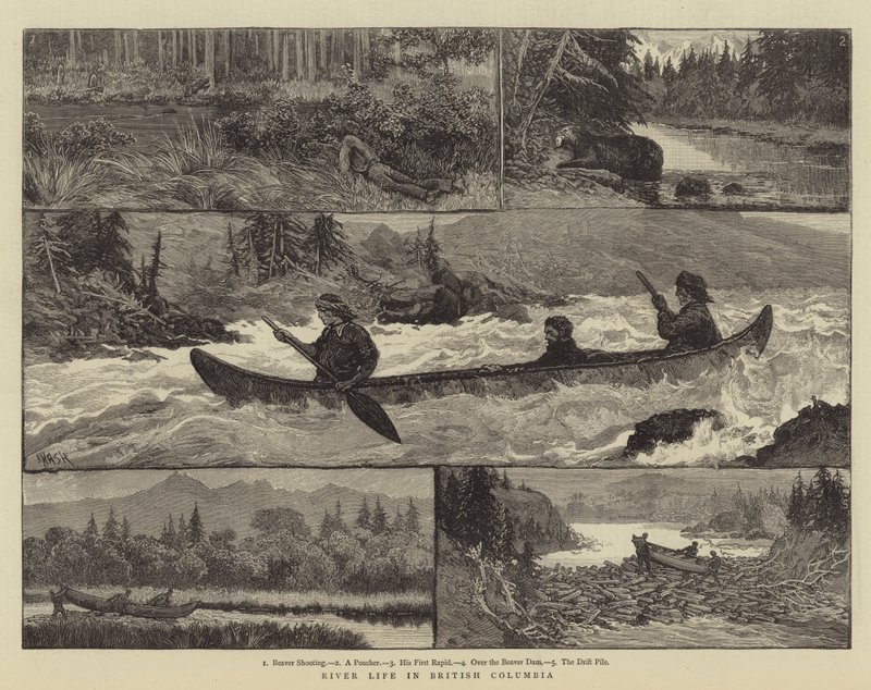 River Life British Columbiában alkotó: Joseph Nash