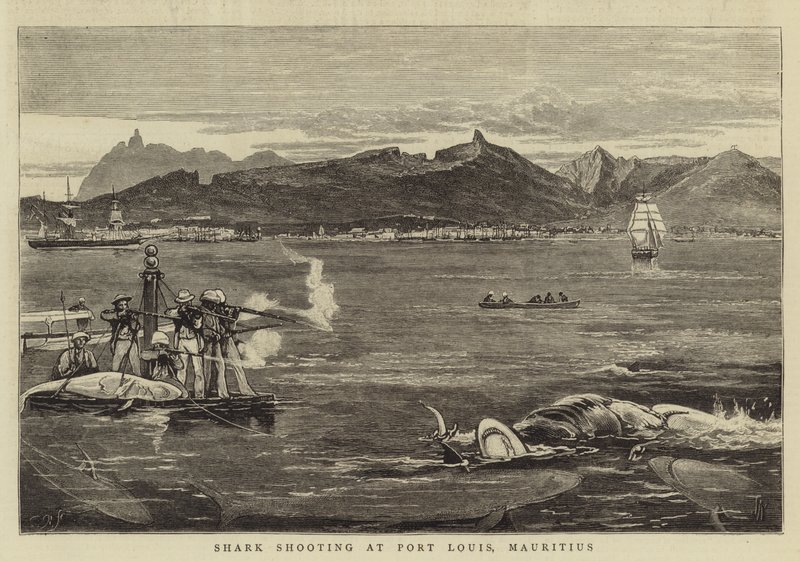 Cápalövészet a mauritiusi Port Louisban alkotó: Joseph Nash