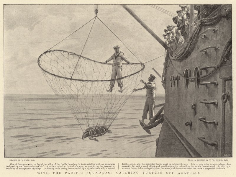 A Pacific Squadronnal, teknősöket fogni Acapulcónál alkotó: Joseph Nash