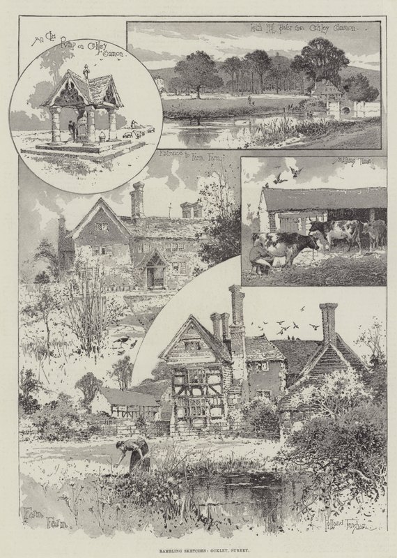 Rambling Sketches, Ockley, Surrey alkotó: Joseph Holland Tringham