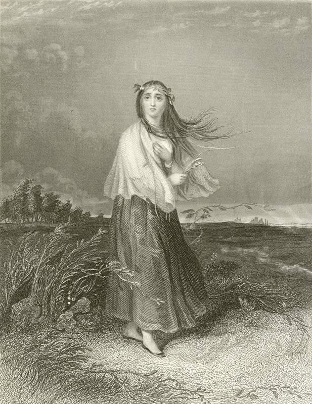 Kate megőrült alkotó: Joseph John Jenkins