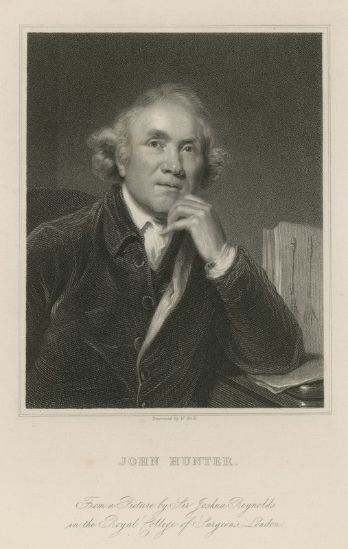 John Hunter alkotó: Joshua Reynolds