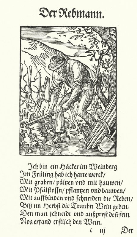 A szőlősgazda (metszet) alkotó: Jost (after) Amman