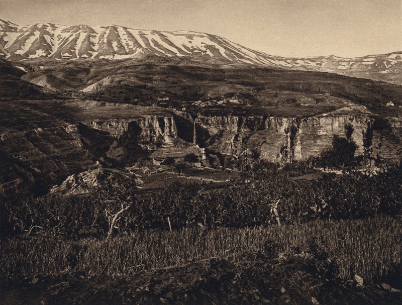 Libanon, fekvő (f/w fotó) alkotó: Karl Grober