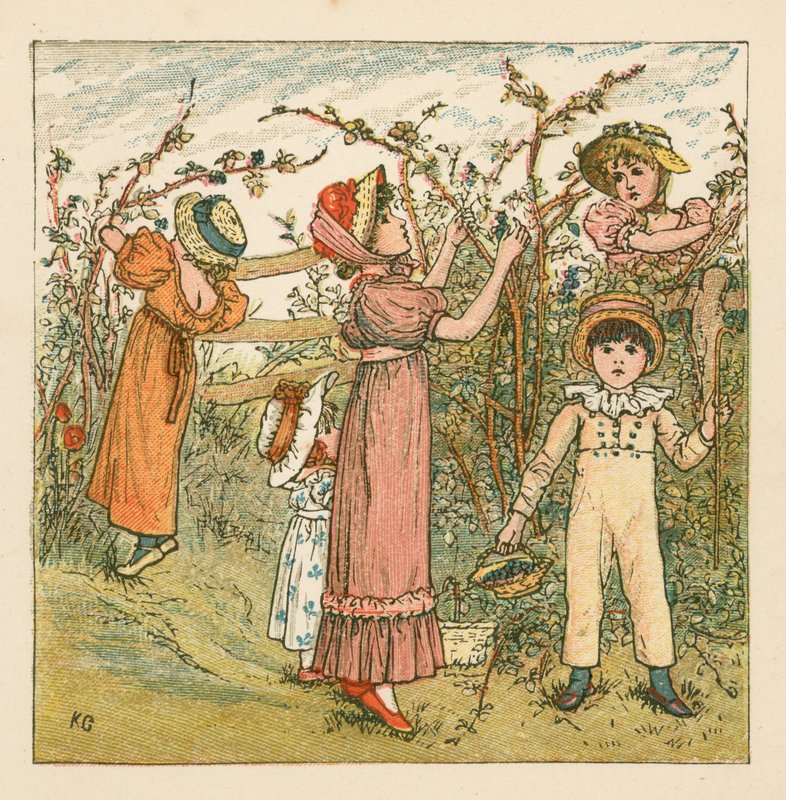 Szeder szedése alkotó: Kate Greenaway