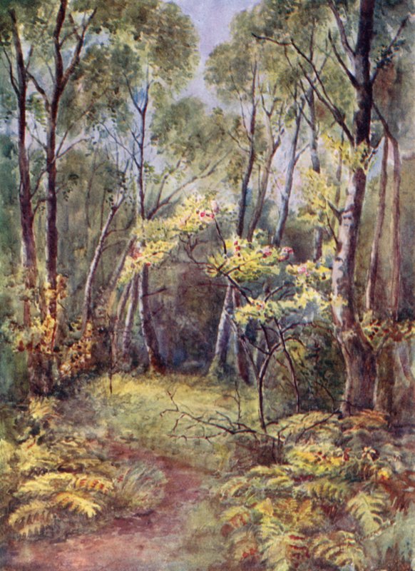Leigh Woodsban alkotó: Laura Annie Happerfield