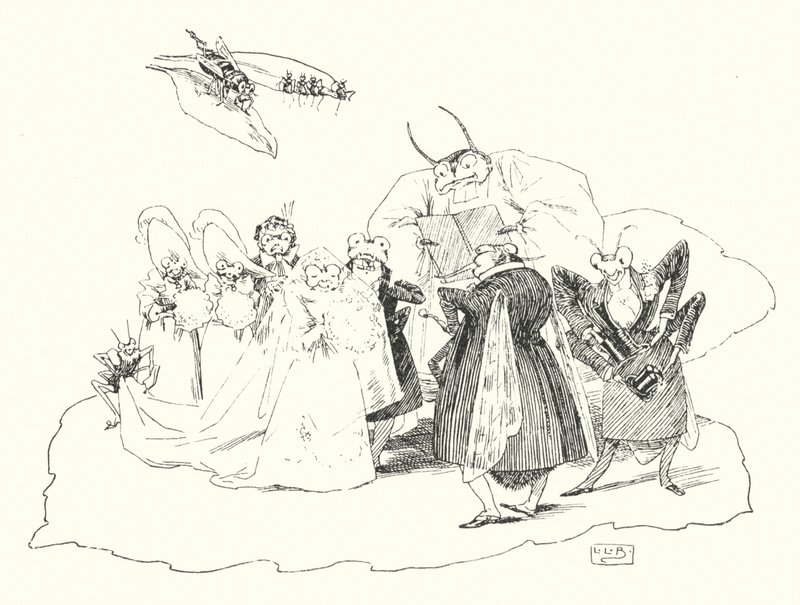Fiddle-de-dee, fiddle-de-dee (metszet) alkotó: Leonard Leslie Brooke