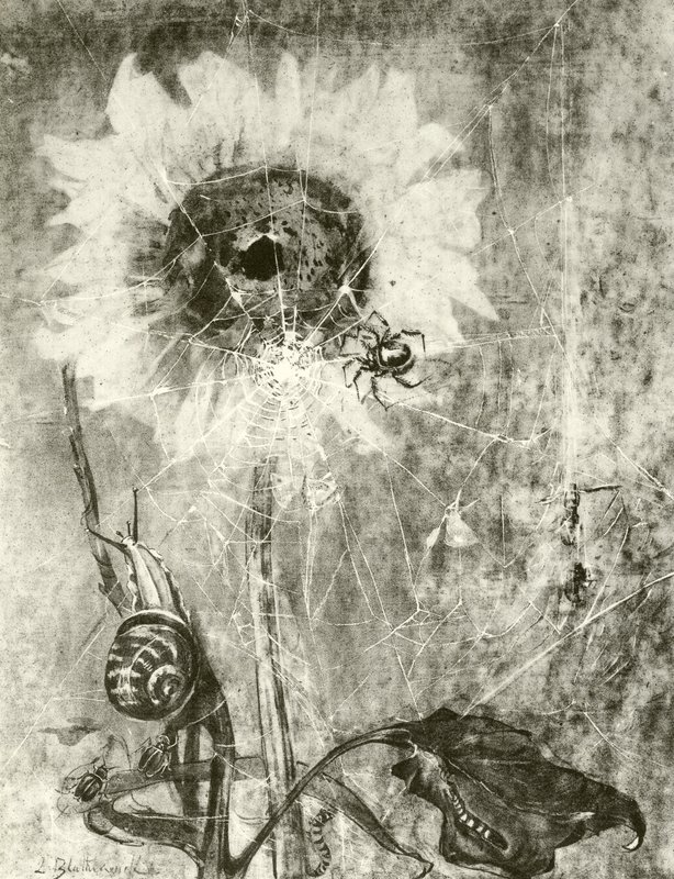 A tündérek (mélynyomás) alkotó: Lily Blatherwick
