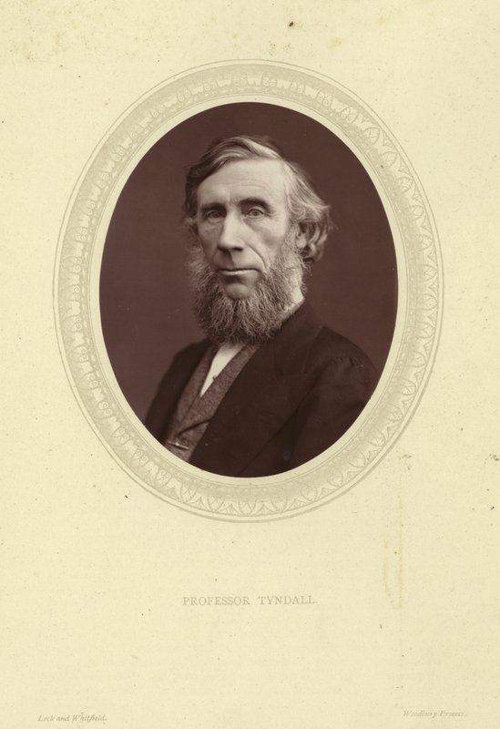 John Tyndall portréja alkotó: Lock and Whitfield