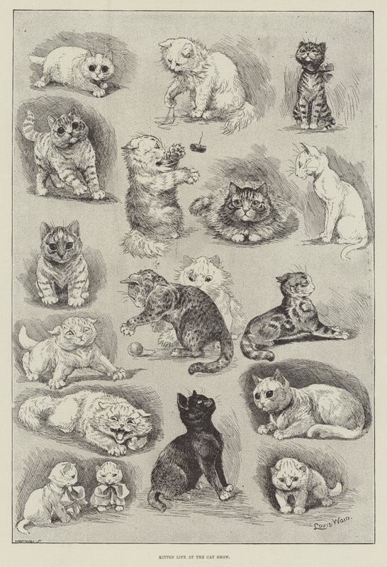 Cica élete a macskakiállításon alkotó: Louis Wain