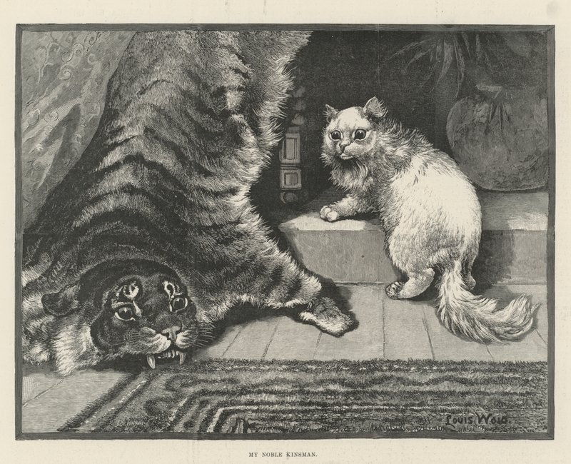 Nemes rokonom alkotó: Louis Wain