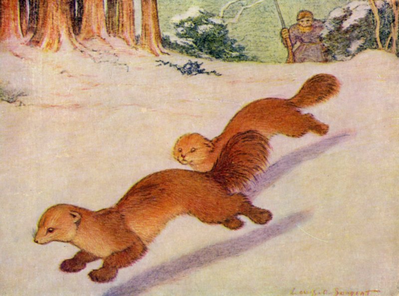 Az állatkertben: Martens (színes litó) alkotó: Louis Augustus Sargent