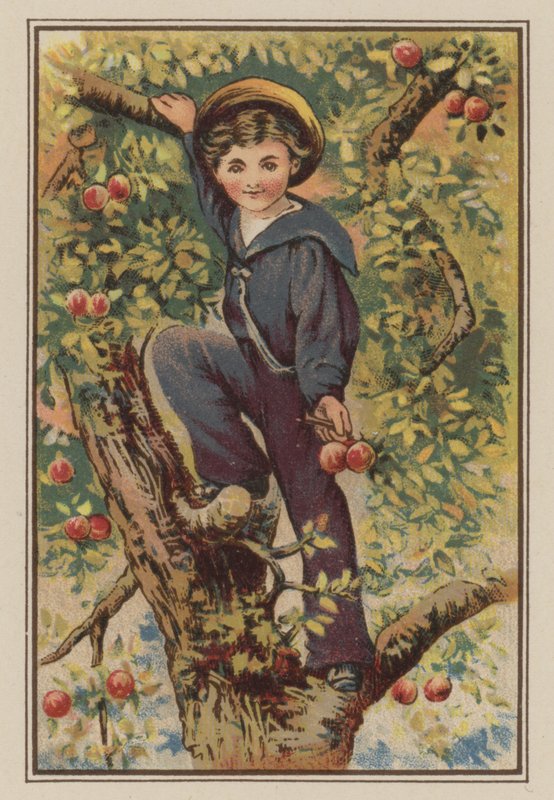 Almafára mászó fiú (chromolitho) alkotó: Mary Ellen Edwards