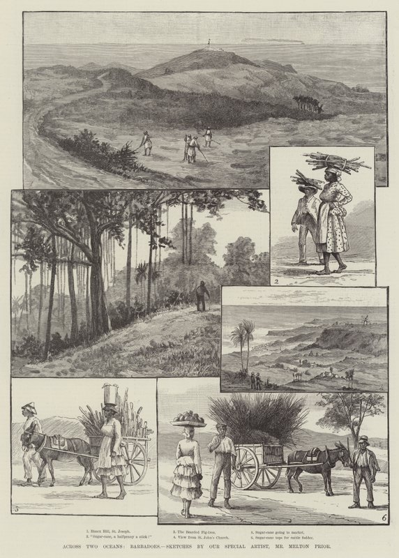 Két óceánon át, Barbados alkotó: Melton Prior