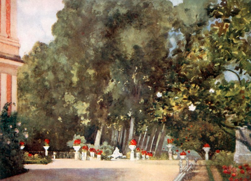 Magnóliafa, Aranjuez alkotó: Mima Nixon