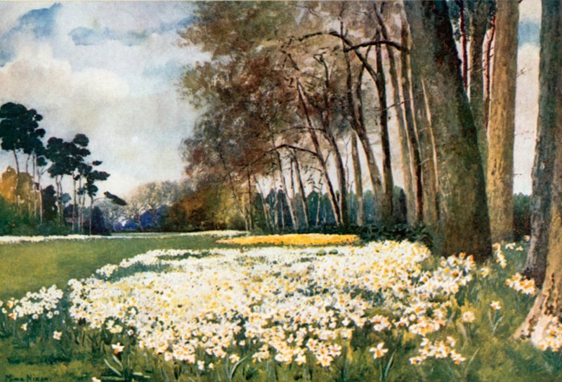 A park, Sandringham alkotó: Mima Nixon