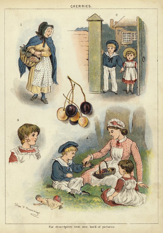 Cseresznye (chromolitho) alkotó: Miss Eliza F. Manning