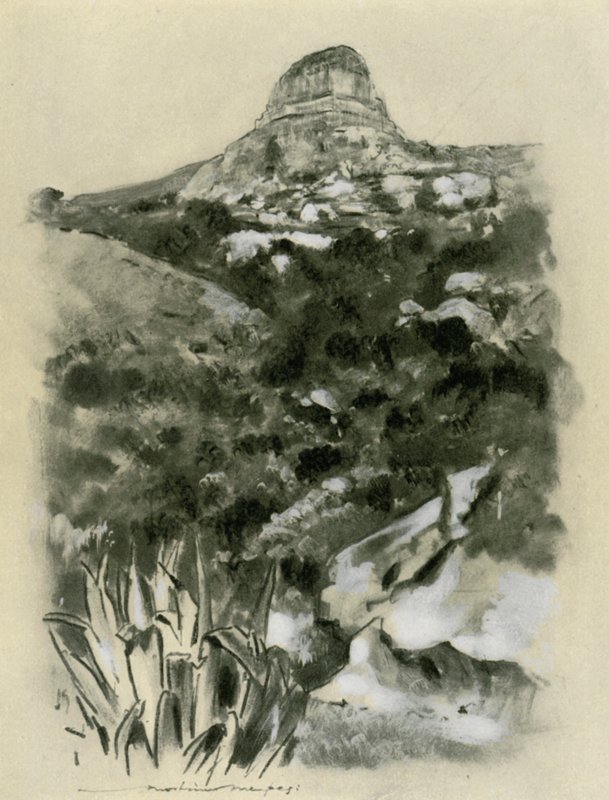 Bloemfontein alkotó: Mortimer Ludington Menpes