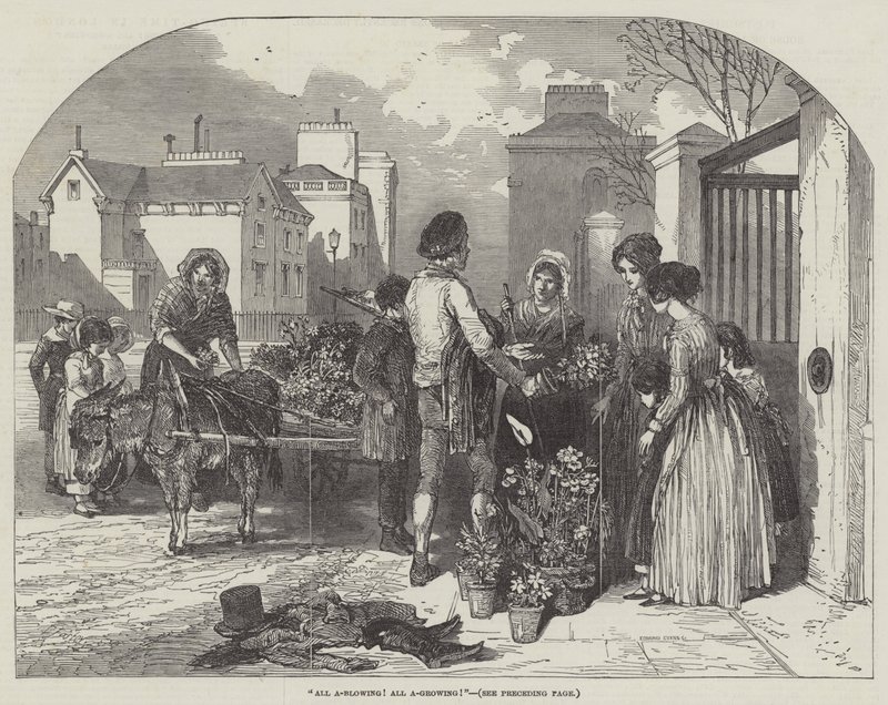 Minden A-Blowing! Minden A-Growing! alkotó: Myles Birket Foster